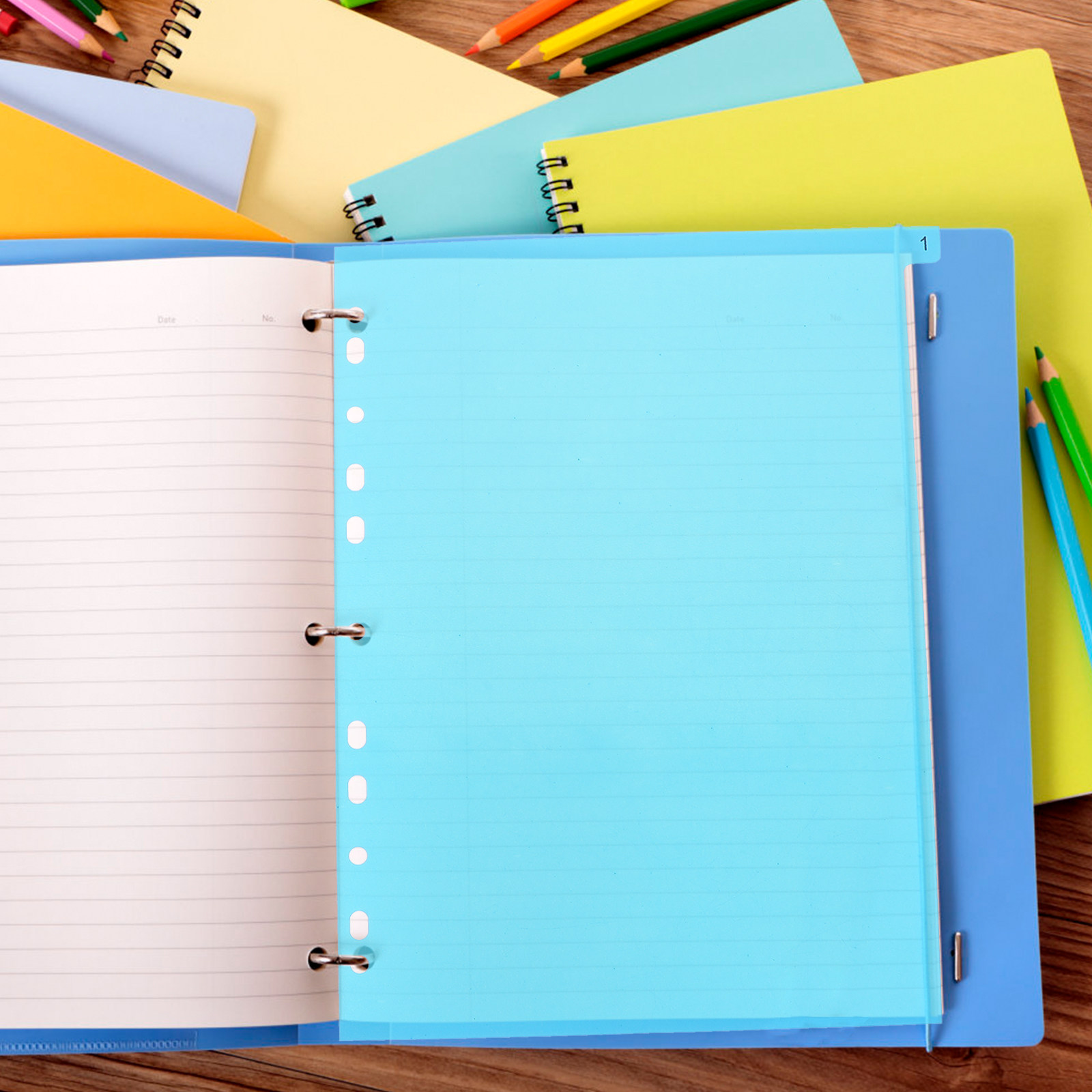 5Pcs Premium PP Plastic Binder - Tab Divider A4 review and price