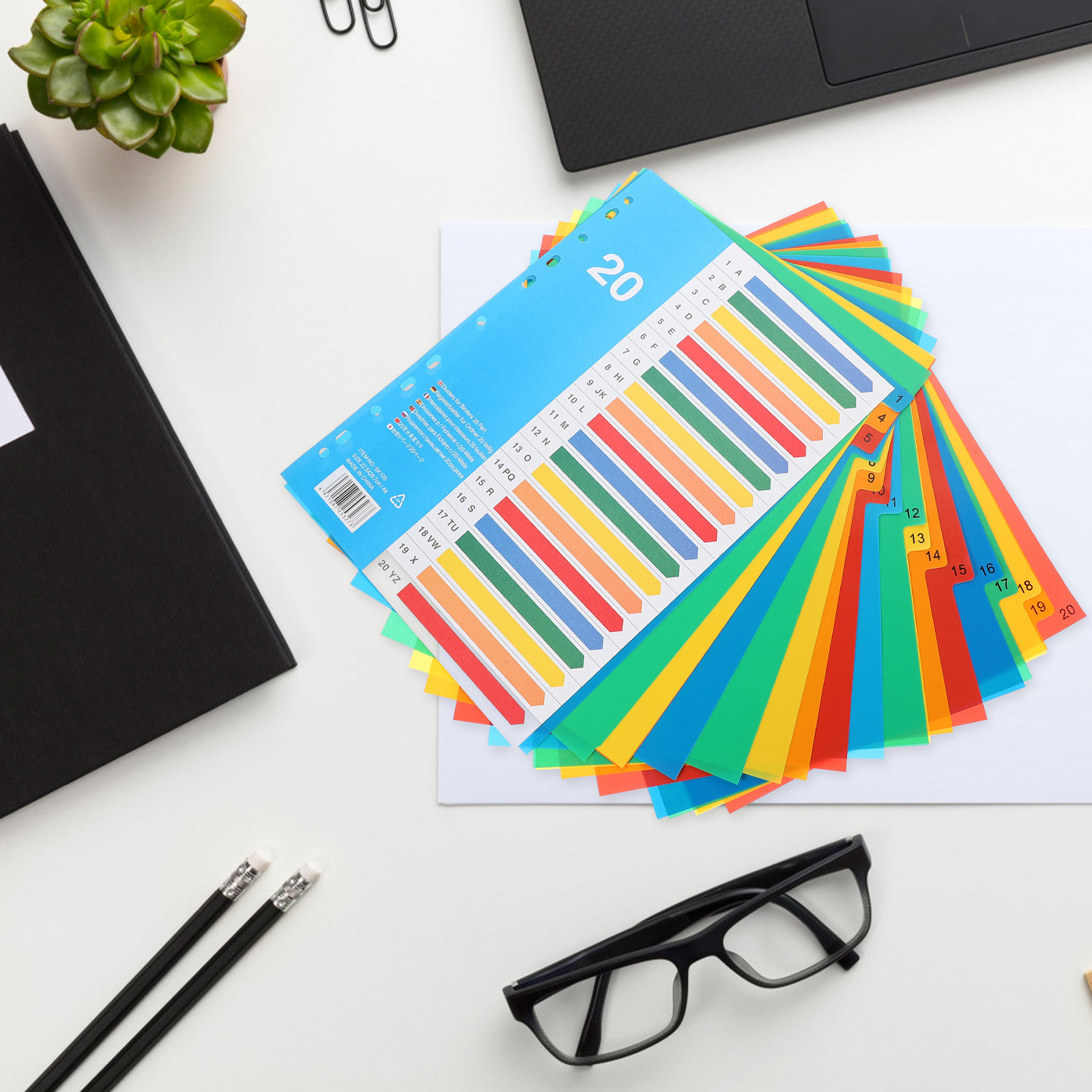 5Pcs Premium PP Plastic Binder - Tab Divider A4 review and price