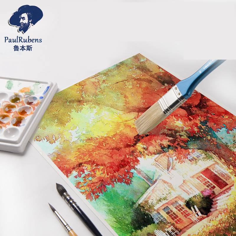 Paul Rubens Professional Water - Ink Blotter Paper review and price
