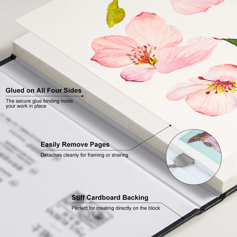 Paul Rubens Watercolor Paintin - Ink Blotter Paper review and price