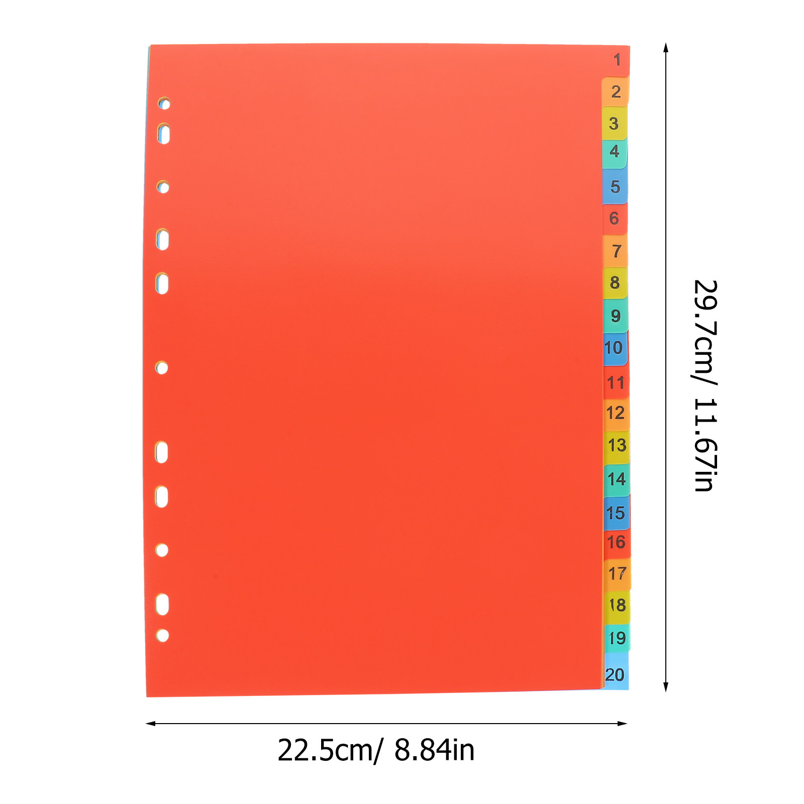 20 Sheets A4 Index Divider Pla - Tab Divider A4 review and price